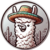 LAMA
