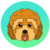 CPOO