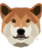DOGEC